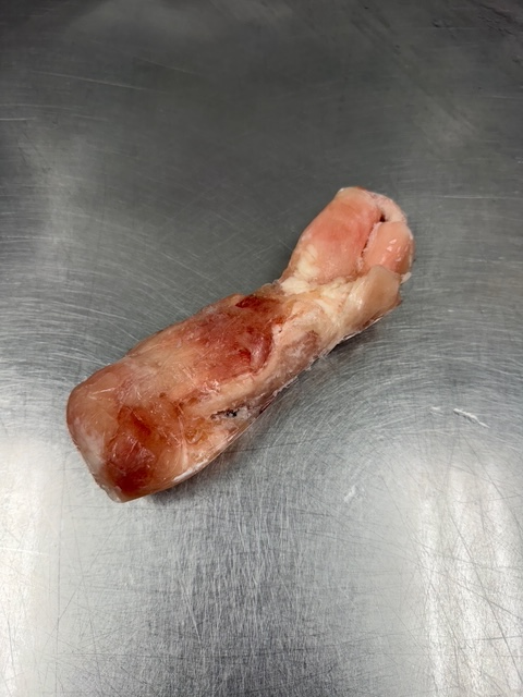 A single frozen beef tendon