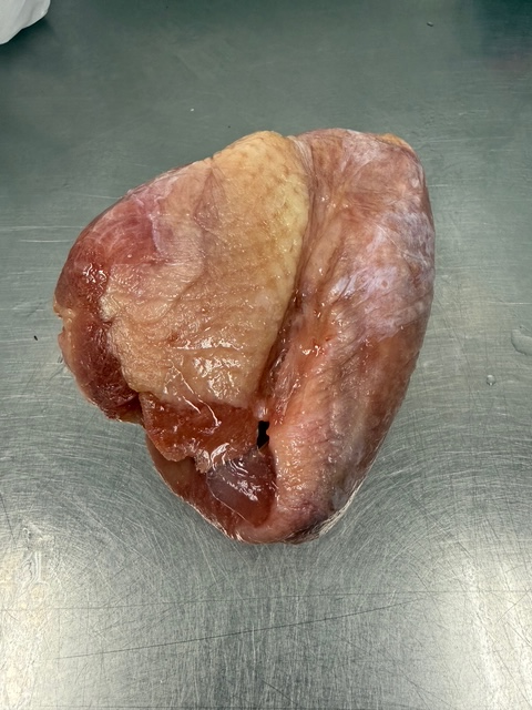 A frozen turkey wing